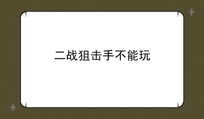 二战狙击手不能玩