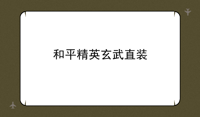 和平精英玄武直装
