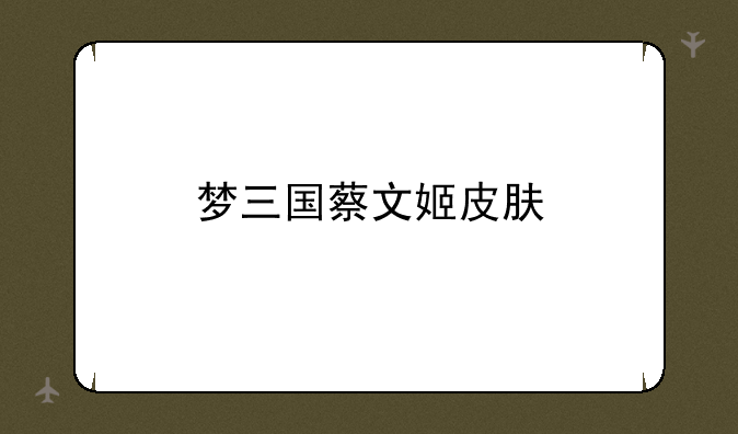 梦三国蔡文姬皮肤