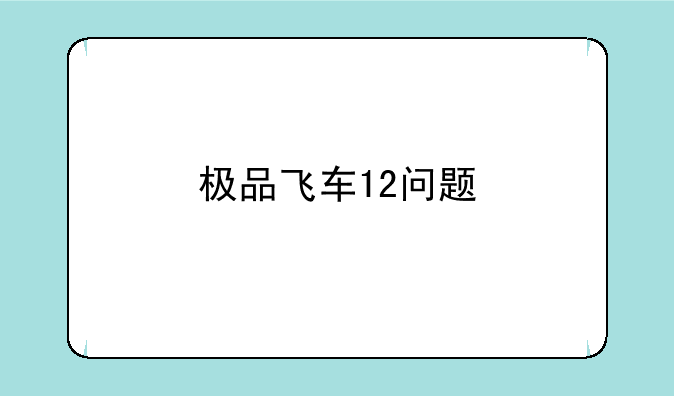极品飞车12问题