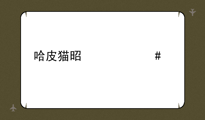 哈皮猫是什么梗
