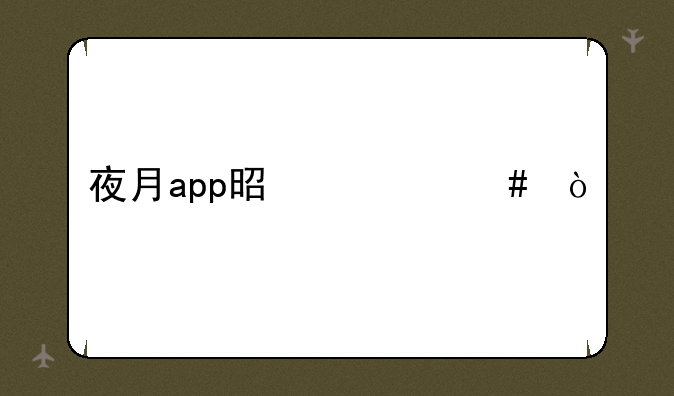 夜月app是什么？