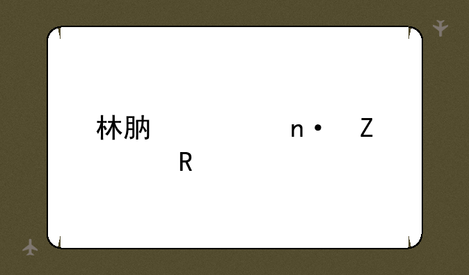 林肯公园新主唱