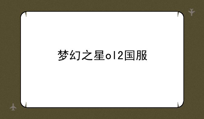 梦幻之星ol2国服