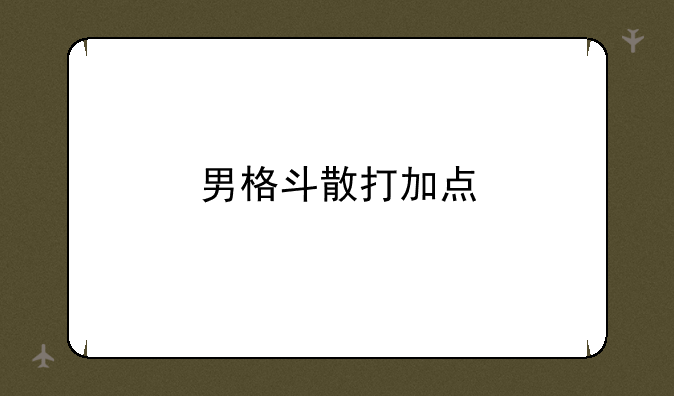 男格斗散打加点