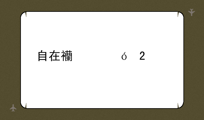 自在西游礼包码
