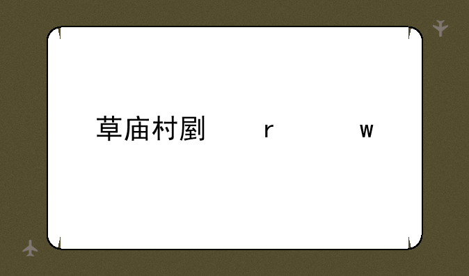 草庙村副本宝箱