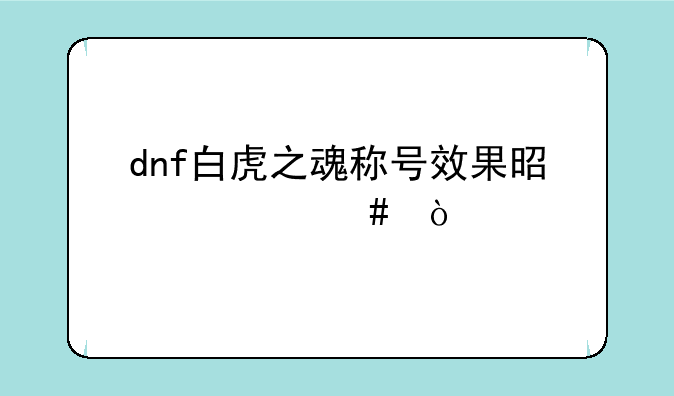 dnf白虎之魂称号效果是什么？