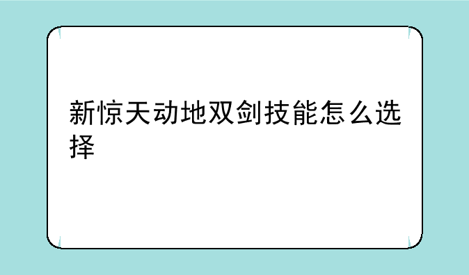 新惊天动地双剑技能怎么选择