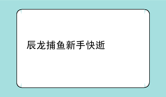 辰龙捕鱼新手快速上手指南？