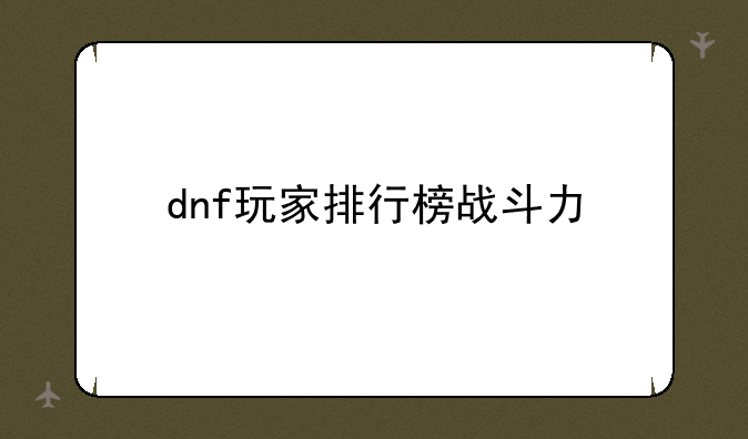 dnf玩家排行榜战斗力