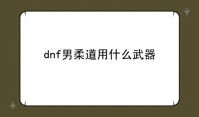 dnf男柔道用什么武器