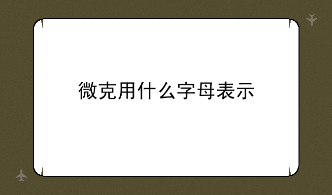 微克用什么字母表示
