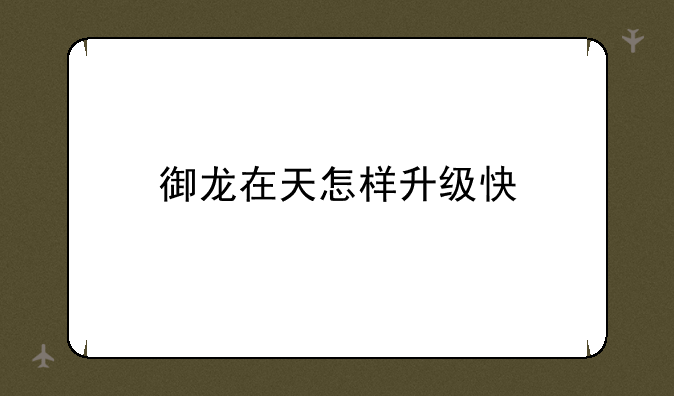 御龙在天怎样升级快