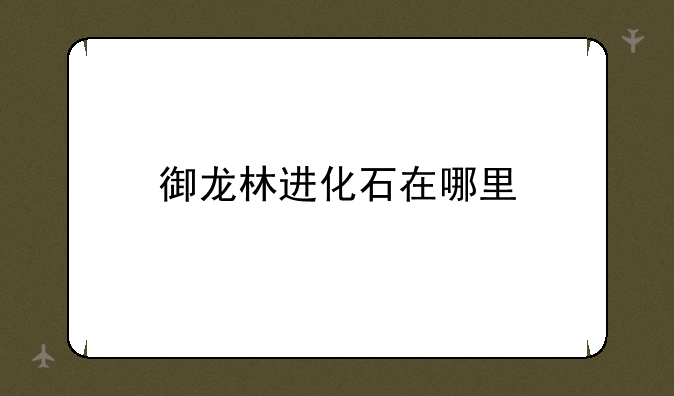 御龙林进化石在哪里