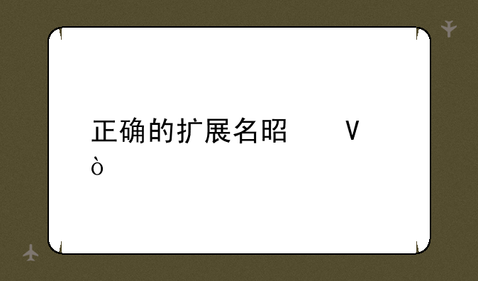 正确的扩展名是啥？