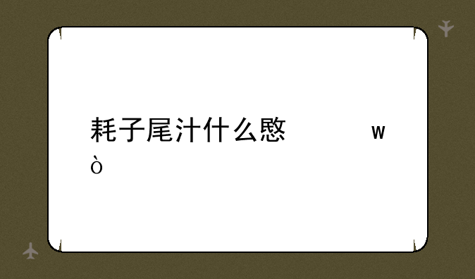 耗子尾汁什么意思？