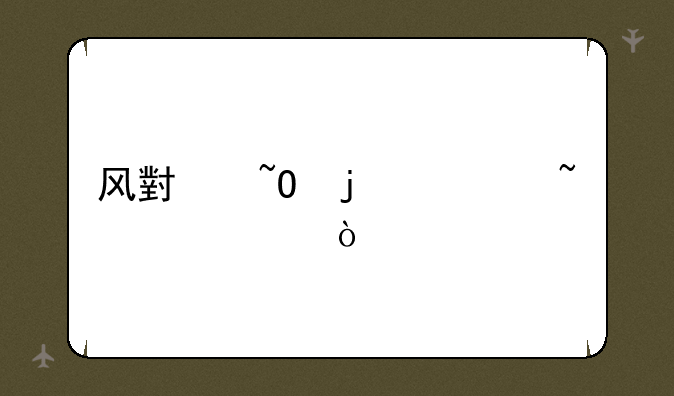 风小染的典韦出装？