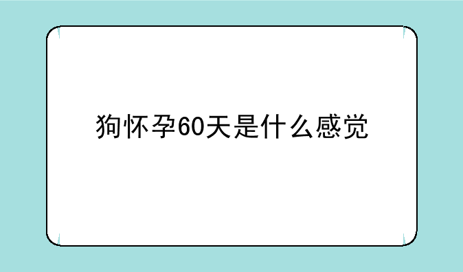 狗怀孕60天是什么感觉