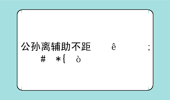 公孙离辅助不跟人怎么办？