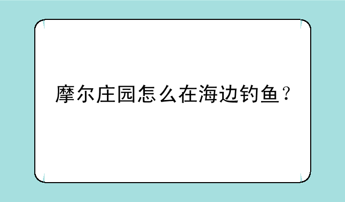 摩尔庄园怎么在海边钓鱼？