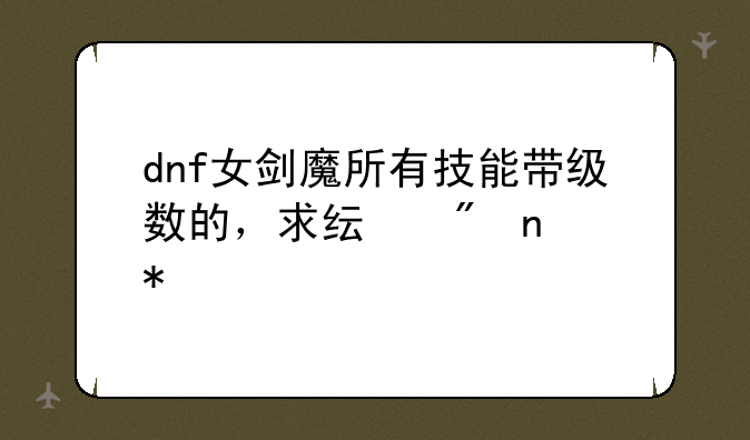 dnf女剑魔所有技能带级数的，求纯刷图加点