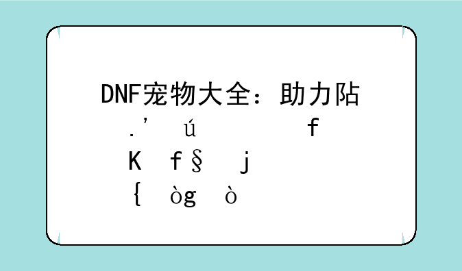 DNF宠物大全：助力阿拉德大陆冒险的忠实伙伴
