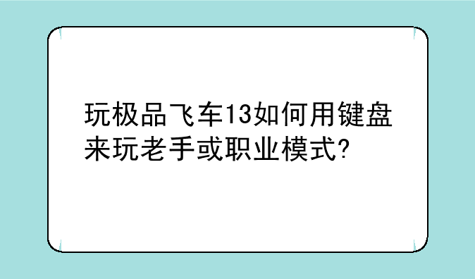 玩极品飞车13如何用键盘来玩老手或职业模式?