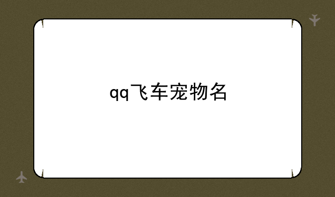 qq飞车宠物名