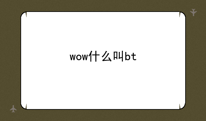 wow什么叫bt