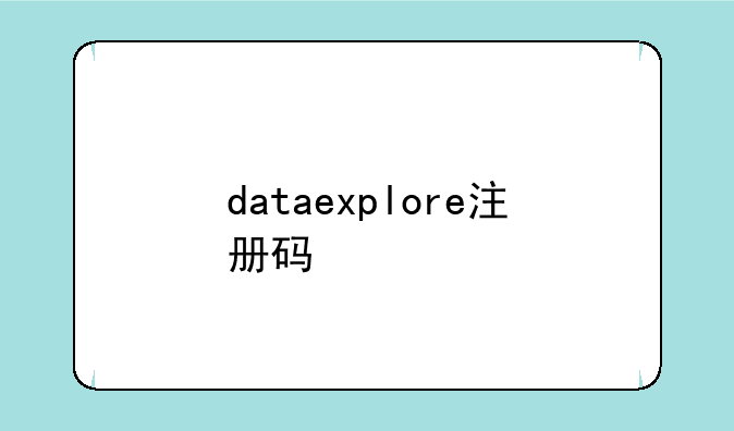 dataexplore注册码