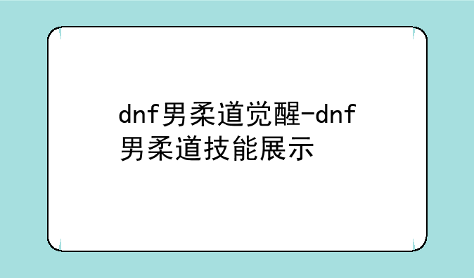 dnf男柔道觉醒-dnf男柔道技能展示