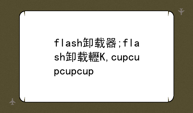 flash卸载器;flash卸载软件