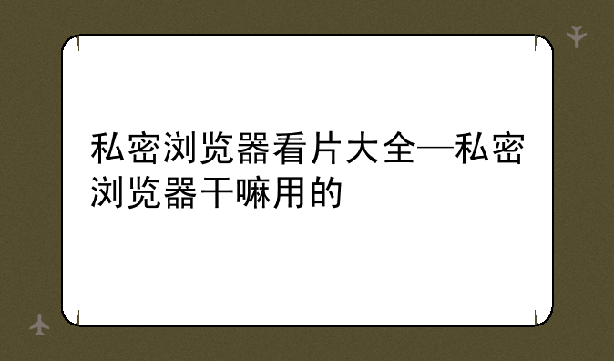 私密浏览器看片大全—私密浏览器干嘛用的