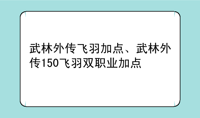 武林外传飞羽加点、武林外传150飞羽双职业加点
