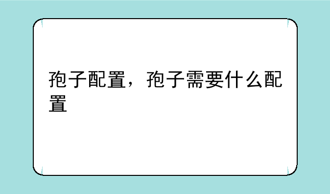 孢子配置，孢子需要什么配置