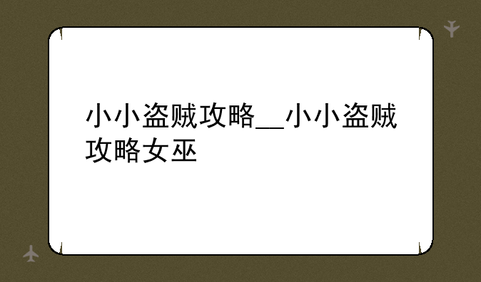 小小盗贼攻略__小小盗贼攻略女巫