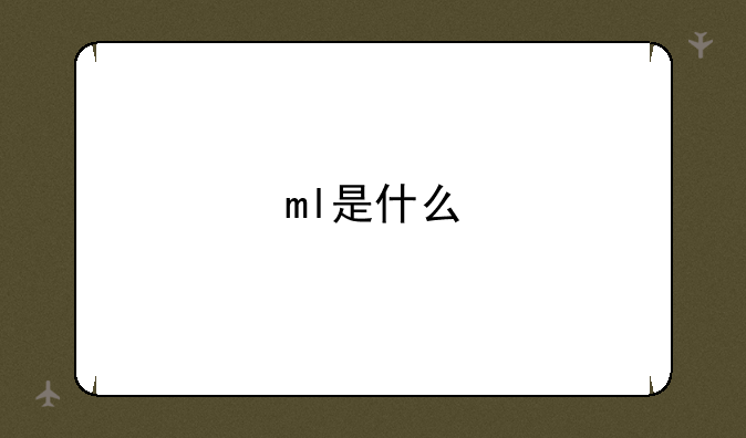 ml是什么