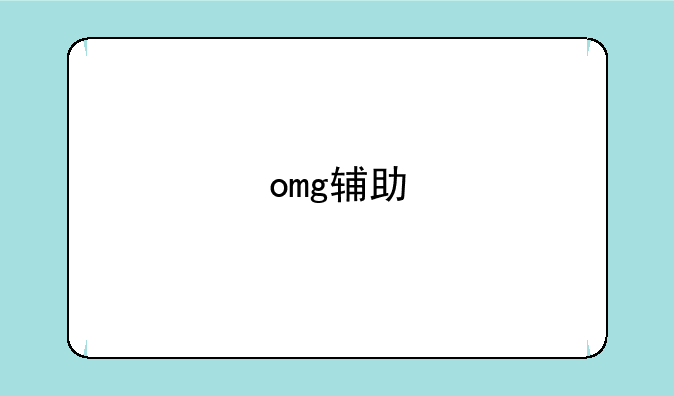 omg辅助
